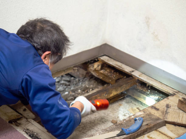 Best Industrial Mold Remediation in Guttenberg, NJ