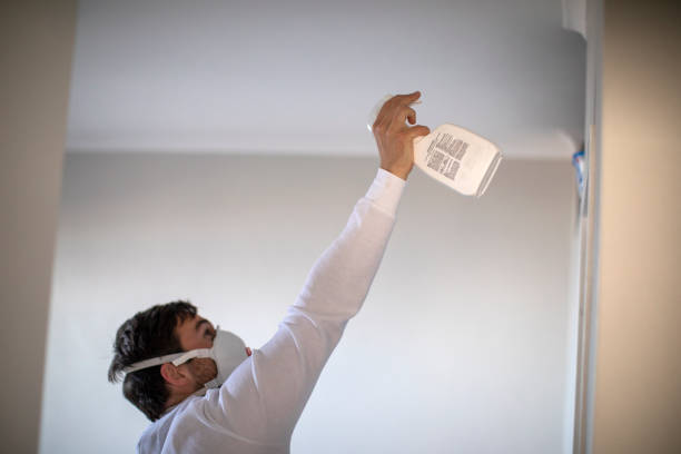Best Residential Mold Remediation in Guttenberg, NJ