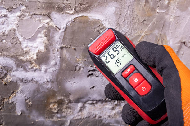 Best Crawl Space Mold Remediation in Guttenberg, NJ