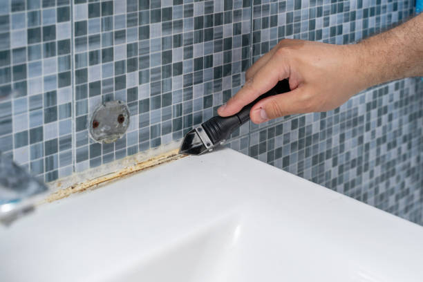 Best Mold Testing and Inspection Services in Guttenberg, NJ