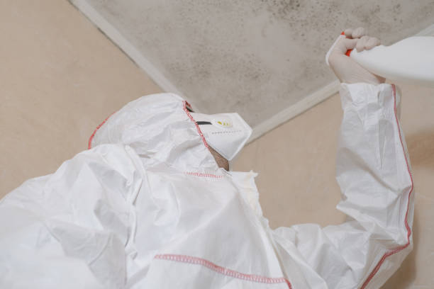 Professional Mold Remediation in Guttenberg, NJ