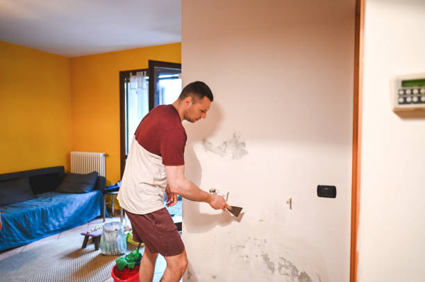 Best Crawl Space Mold Remediation in Guttenberg, NJ